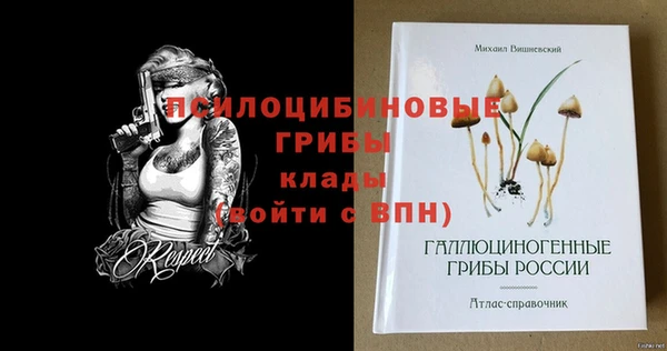 индика Чегем