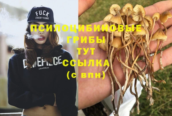 а пвп мука Красноперекопск