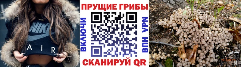 Галлюциногенные грибы MAGIC MUSHROOMS купить наркотик Иркутск